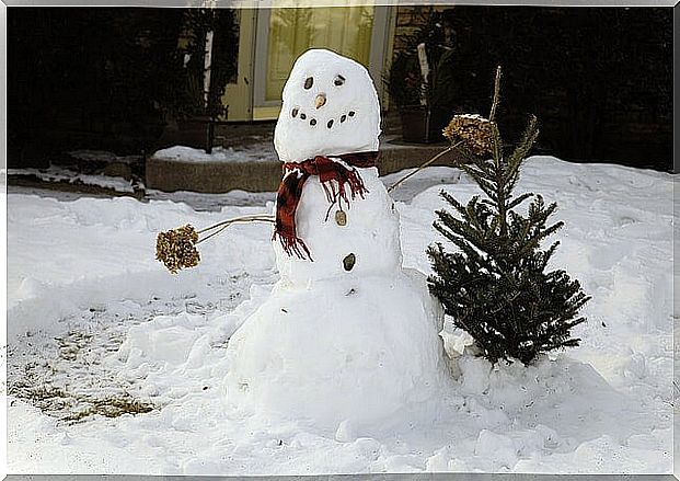 Games in the snow to share with the family.