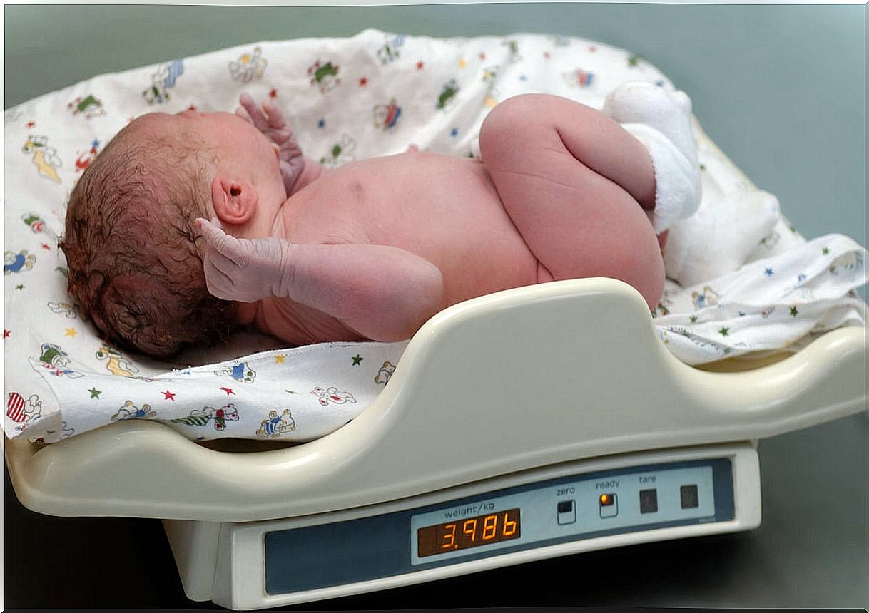 Newborn baby on a scale to calculate medication