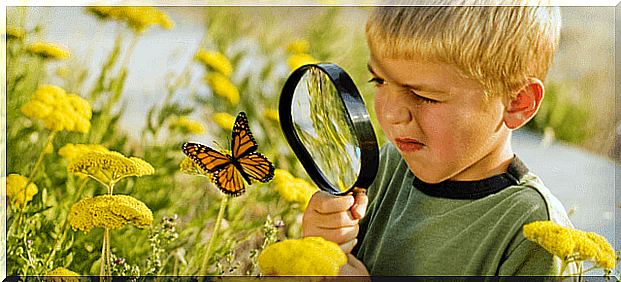 Child watching butterflies