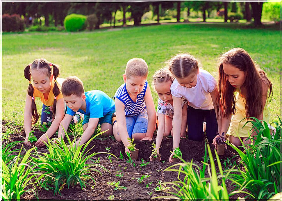 Educate through ecology books.