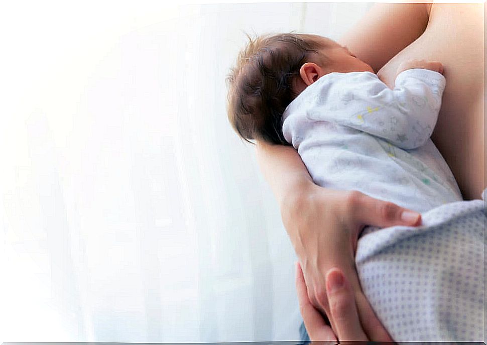 Baby suckling from his mother's breast during lactation.