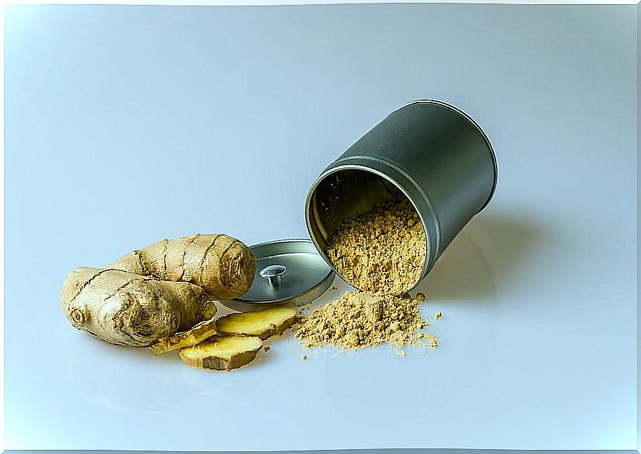 Ginger: ideal against the cold of the little ones