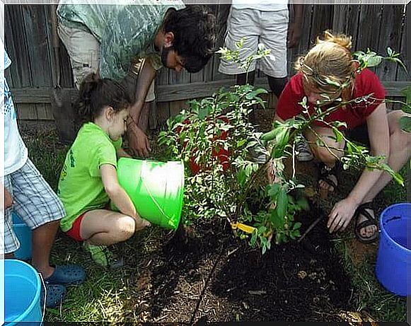 How to encourage the care of the environment in children?