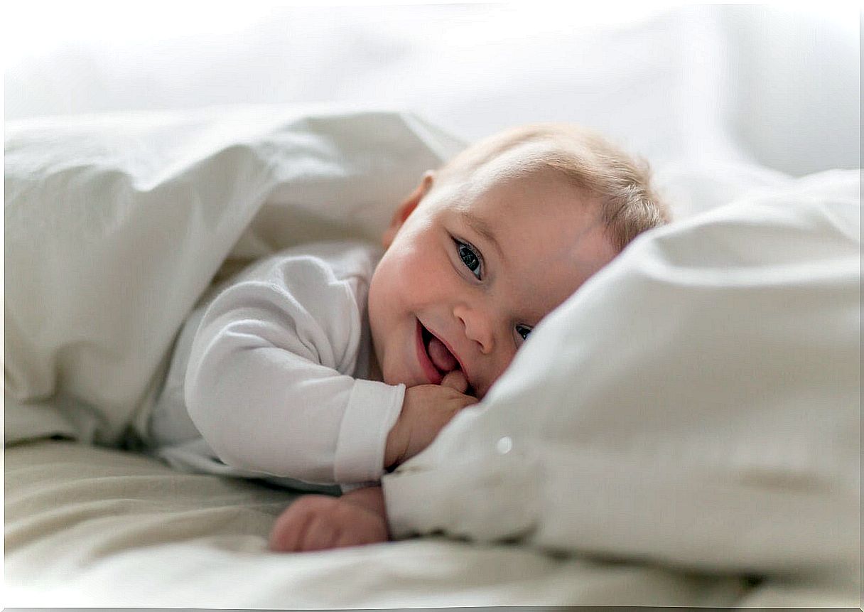 Baby awake during one of the sleep windows.